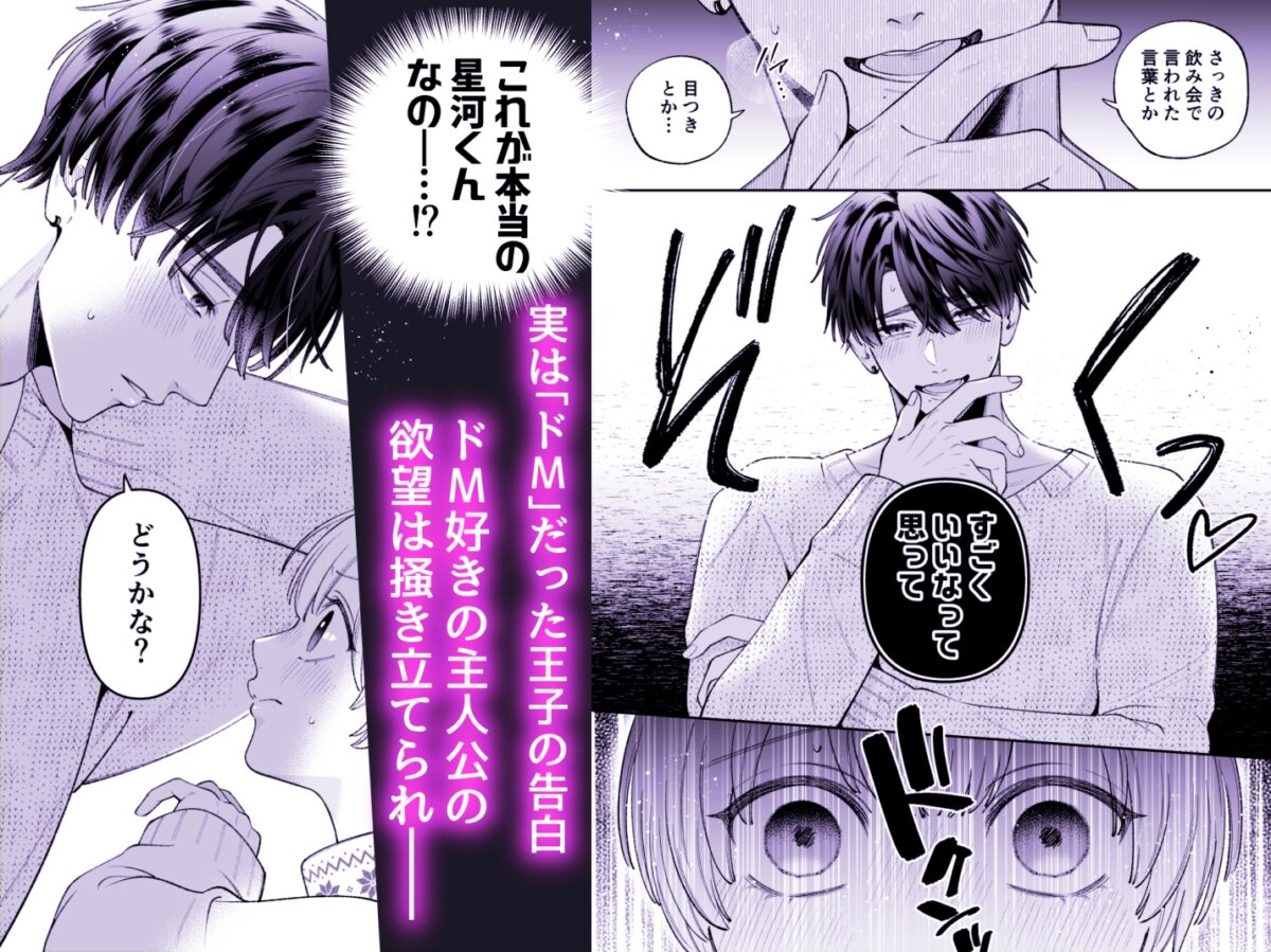 カンスト王子は冷酷姫を渇望する 画像4